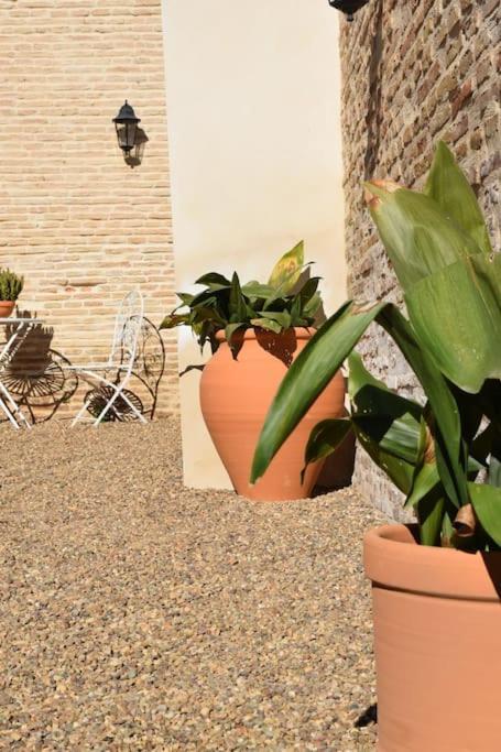 Casa De La Abuela Dolores Villaverde del Rio Kültér fotó